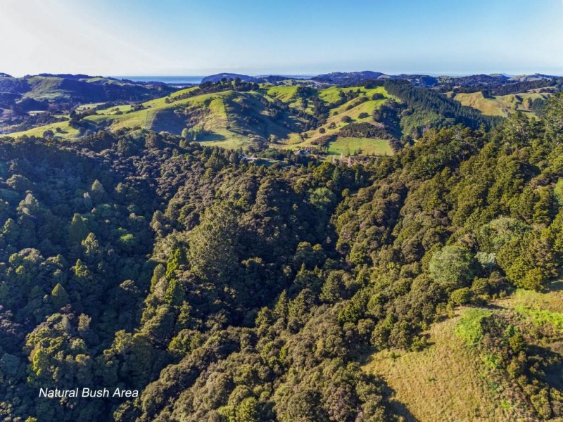 97 Saleyards Road, Puhoi, Auckland - Rodney, 4 Schlafzimmer, 0 Badezimmer