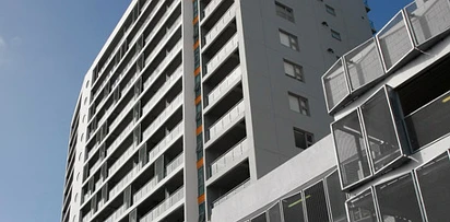 奥克兰半数土地将重新划分用途 增加高密度住宅