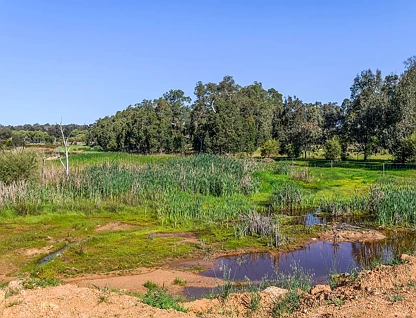  Guernsey Rise, Lower Chittering, Swan, 0 habitaciones, 0 baños, Section