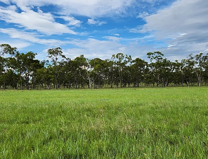 Lot 4 SP 268228 Hermitage Emu Vale Road, Junabee, Darling Downs, 0 chambres, 0 salles de bain, Section