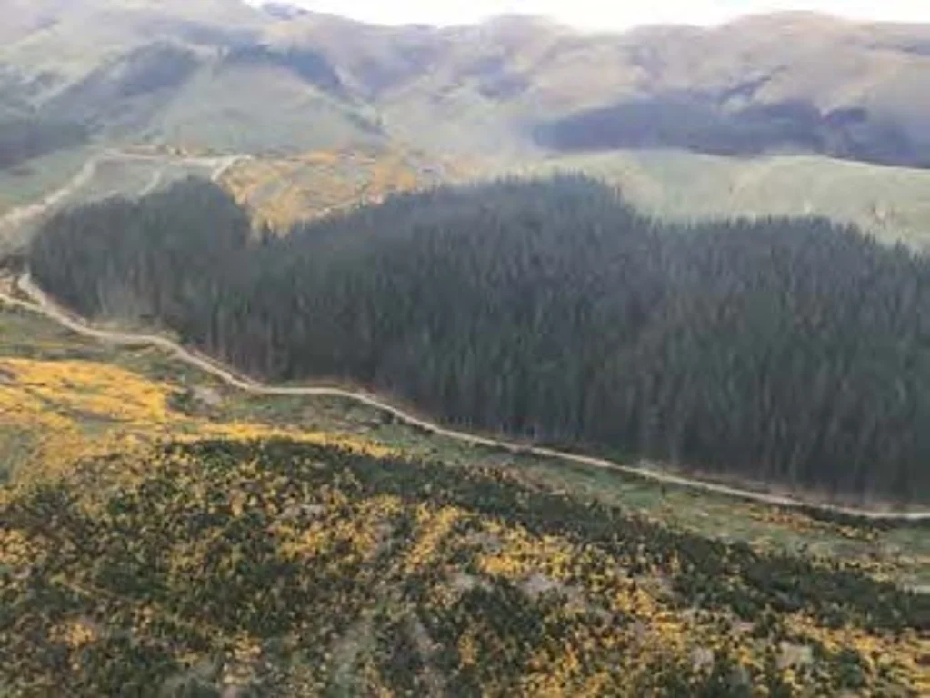 Palmerston Expansive Forest Land 171Ha on 19 Titles!