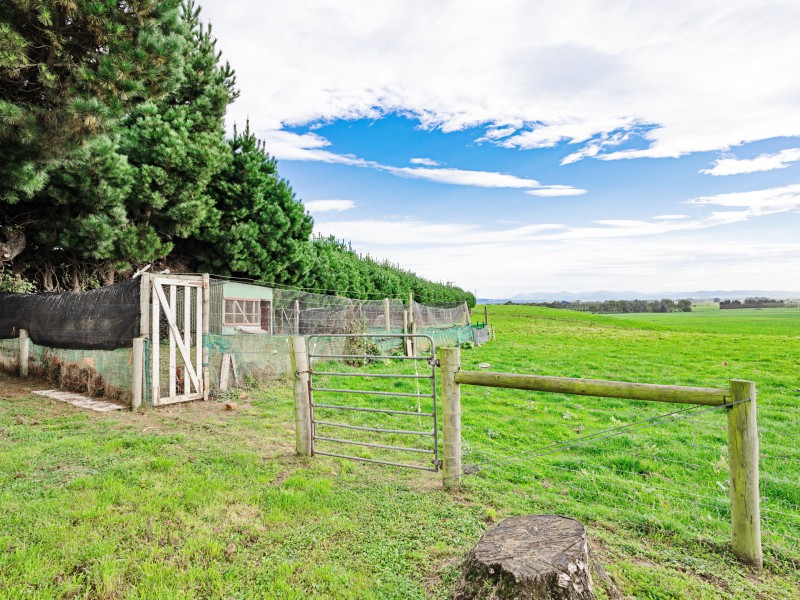 372 Lindsay Calcium Road, Otautau, Southland, 5部屋, 0バスルーム