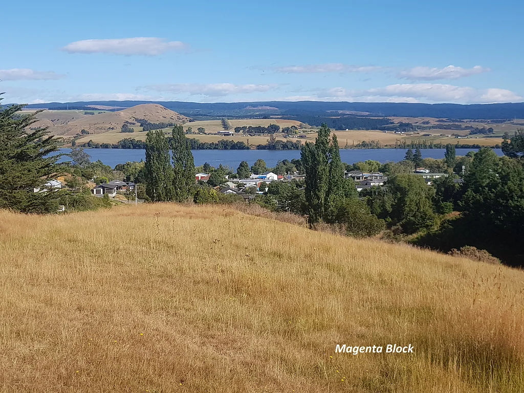 Waihola  Waihola - Two Quality Bare Land Options