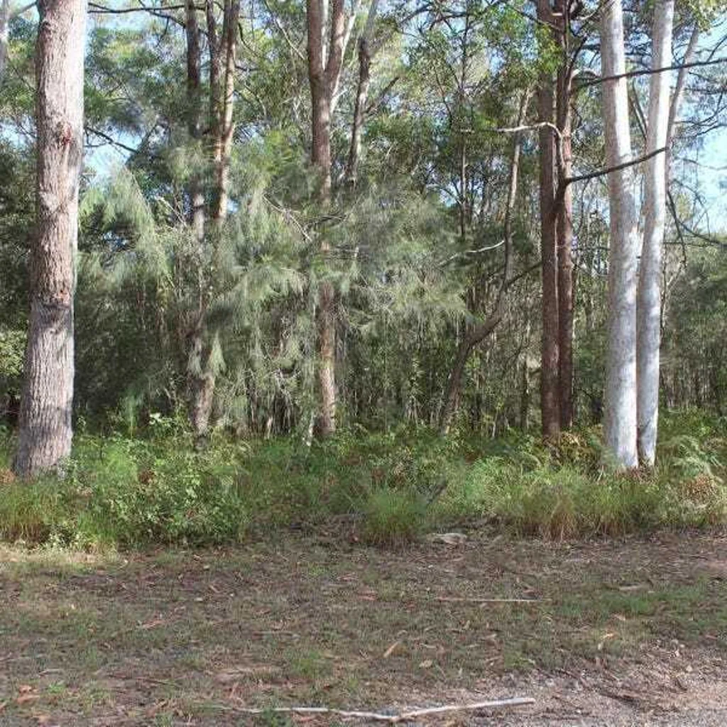 Russell Island Tranquil Setting with Conservation Outlook