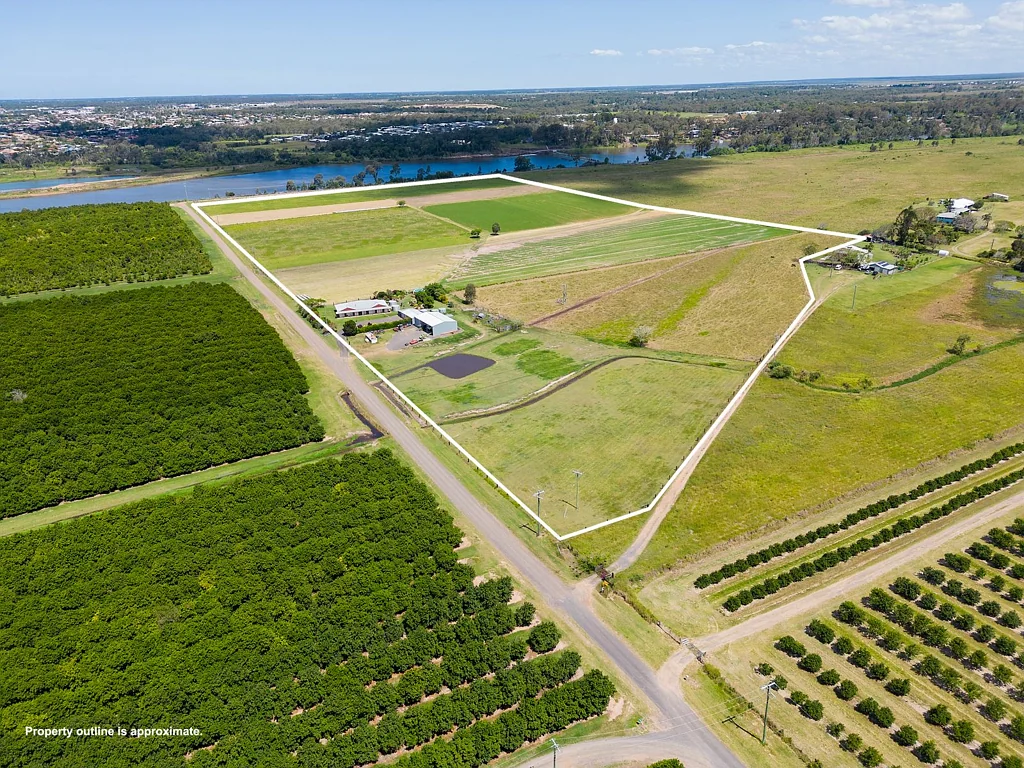 Sharon PRESENTATION, POSITION & IRRIGATION