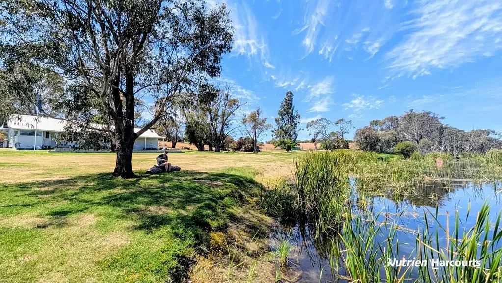 Regans Ford Own a Piece of WA's Living History - "Woodbine Estate" Moore River