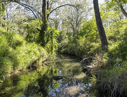 LOT 144 Fifteen Mile Road, Murphys Creek, Toowoomba, 0 Schlafzimmer, 0 Badezimmer, Section