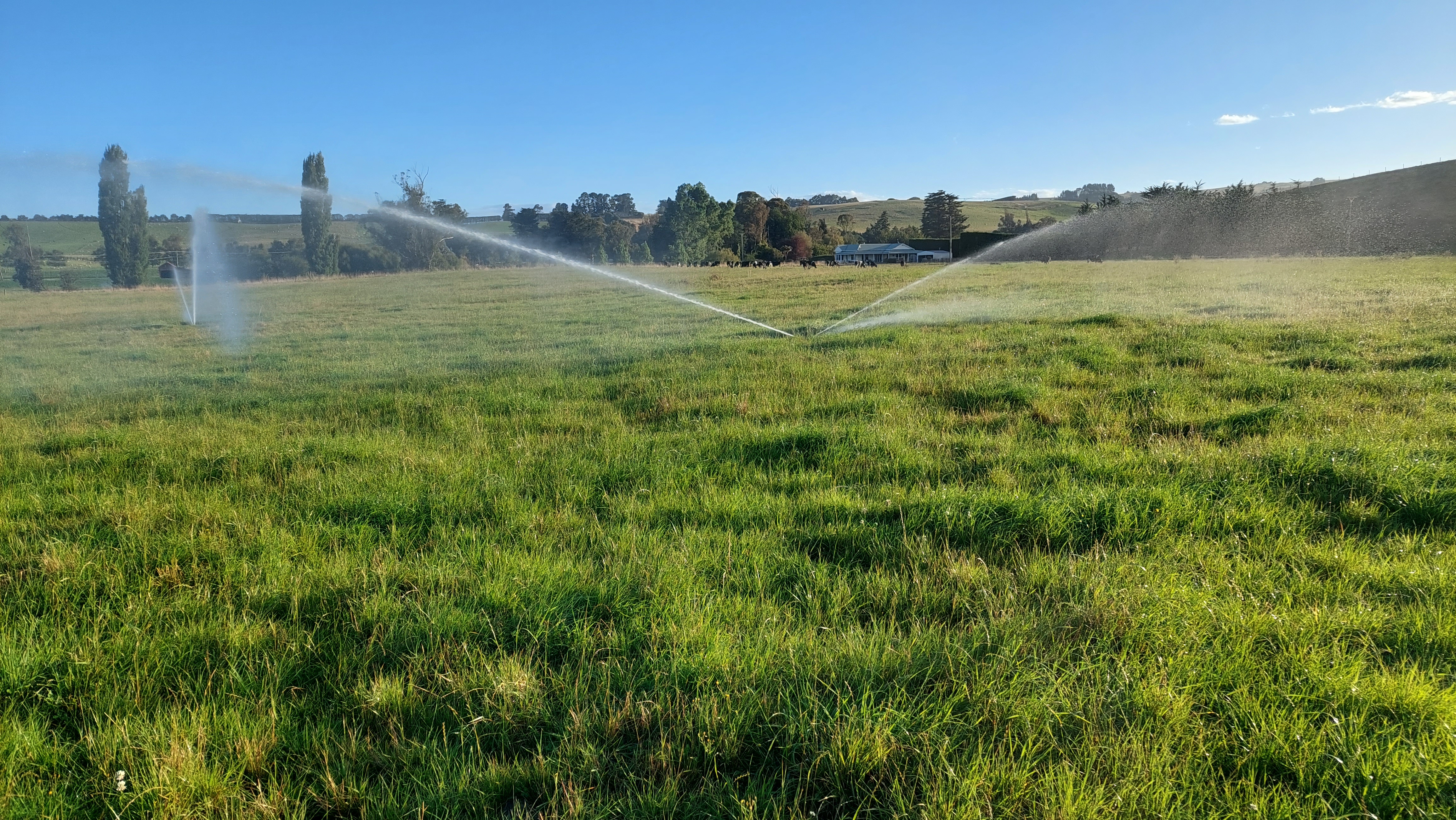 691 Kauru Hill Road, Five Forks and Surrounds, Waitaki, 0 rūma, 0 rūma horoi, Grazing