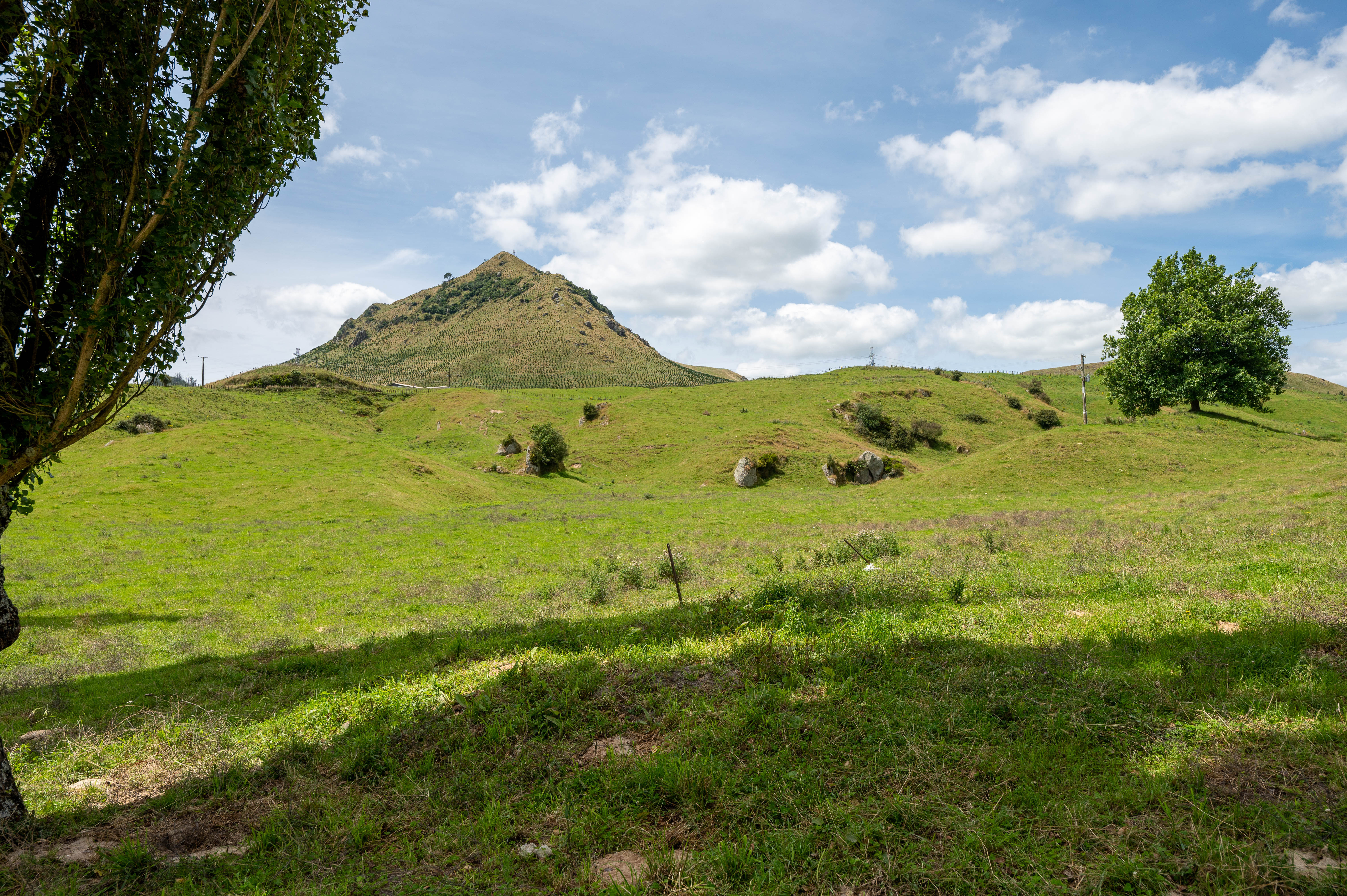 421 Kaahu Road, Mangakino, Taupo, 0 Kuwarto, 0 Banyo, Lifestyle Section