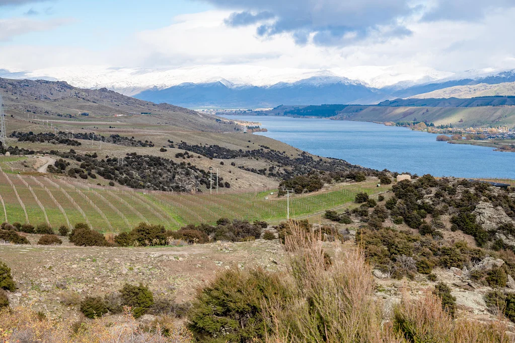 Cromwell Multiple Bendigo Opportunities