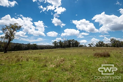 29 Cemetery Rd, Torrington, NSW 2371, 0房, 0浴, Lifestyle Property