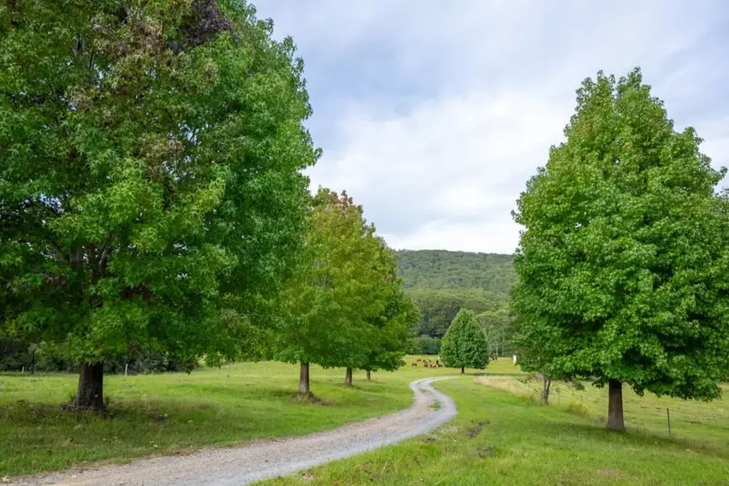 Sherwood 5房  100 Acres of Privacy, Pasture & Rural Potential