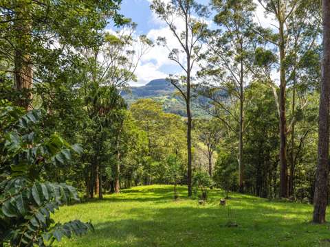 Broughton Vale 3 Bedroom "Willandra" - A Serene Retreat!