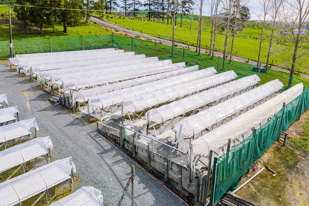Otaika  Well-appointed home with hydroponic business