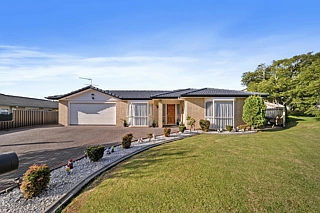 17 Flora Place, Wattle Downs, Manukau City