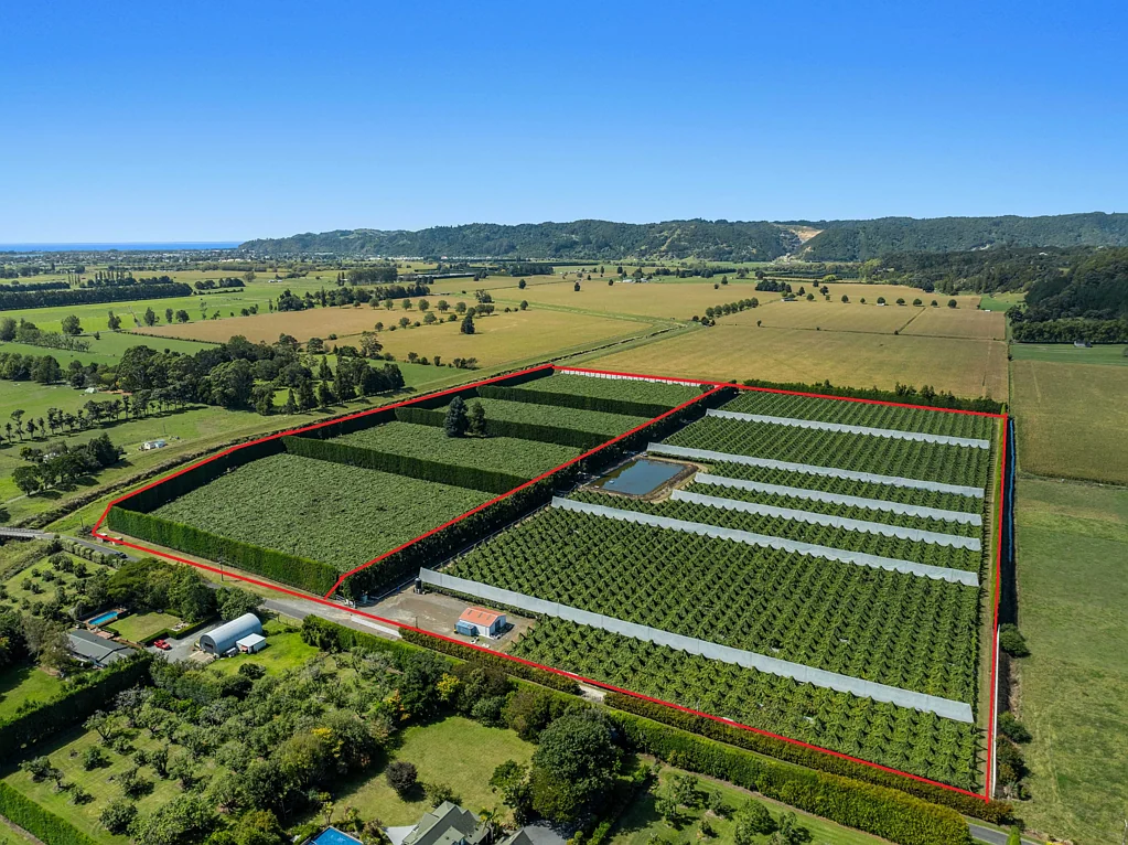 Whakatane  12.3 can ha  G3 kiwifruit