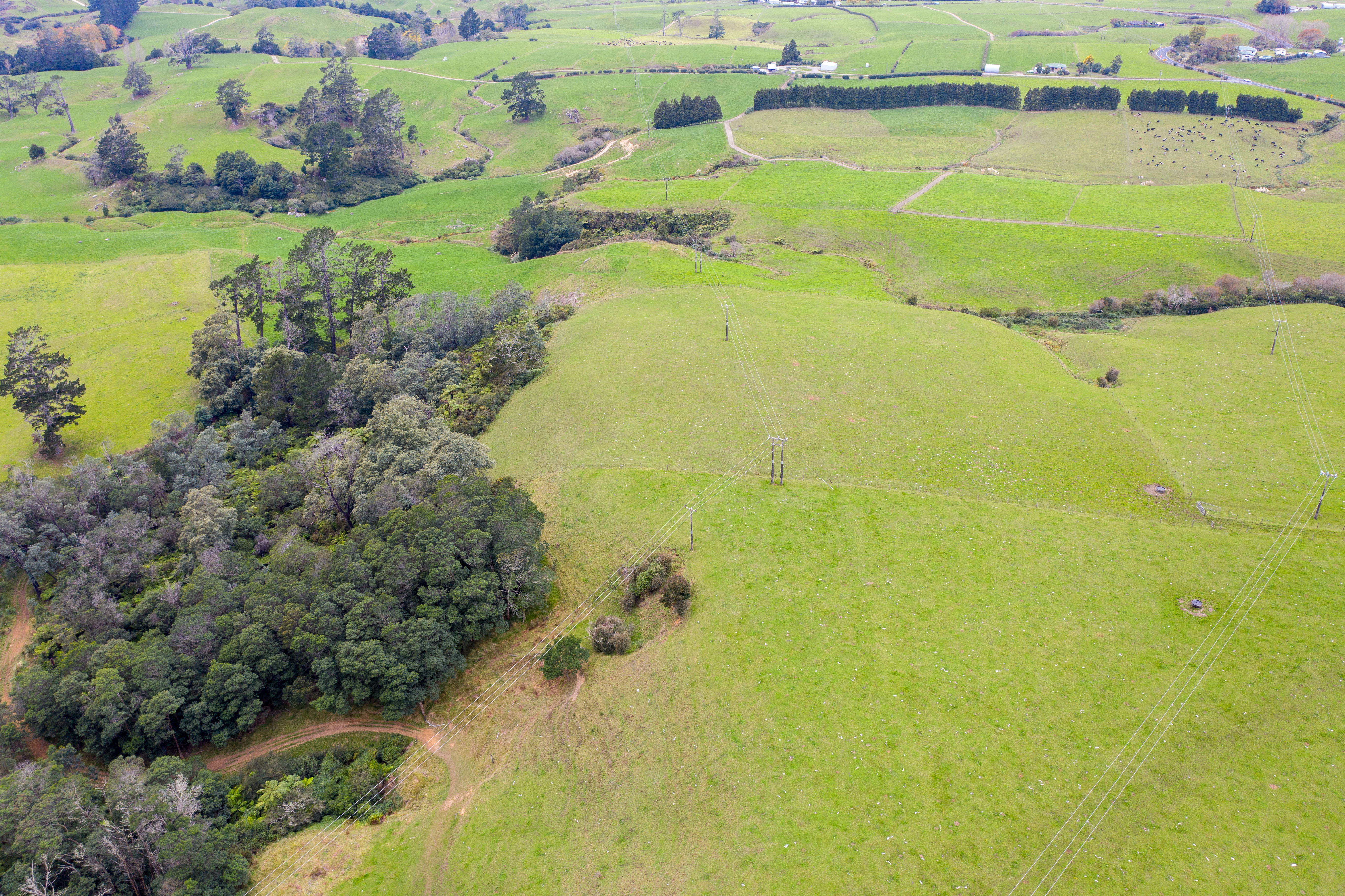 206 Pukekauri Road, Waikino, Hauraki, 0 침실, 0 욕실, Dairy