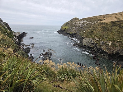 Cannibal Bay Rd, Catlins Surrounds, Clutha, 0 Schlafzimmer, 0 Badezimmer, Lifestyle Section
