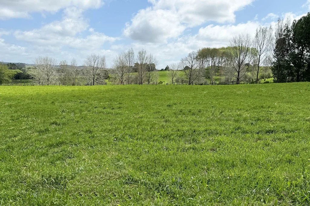Dairy Flat One of the Best Sections in Goodland Estate