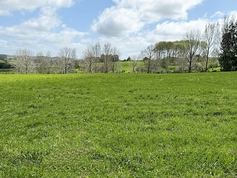 Dairy Flat  One of the Best Sections in Goodland Estate