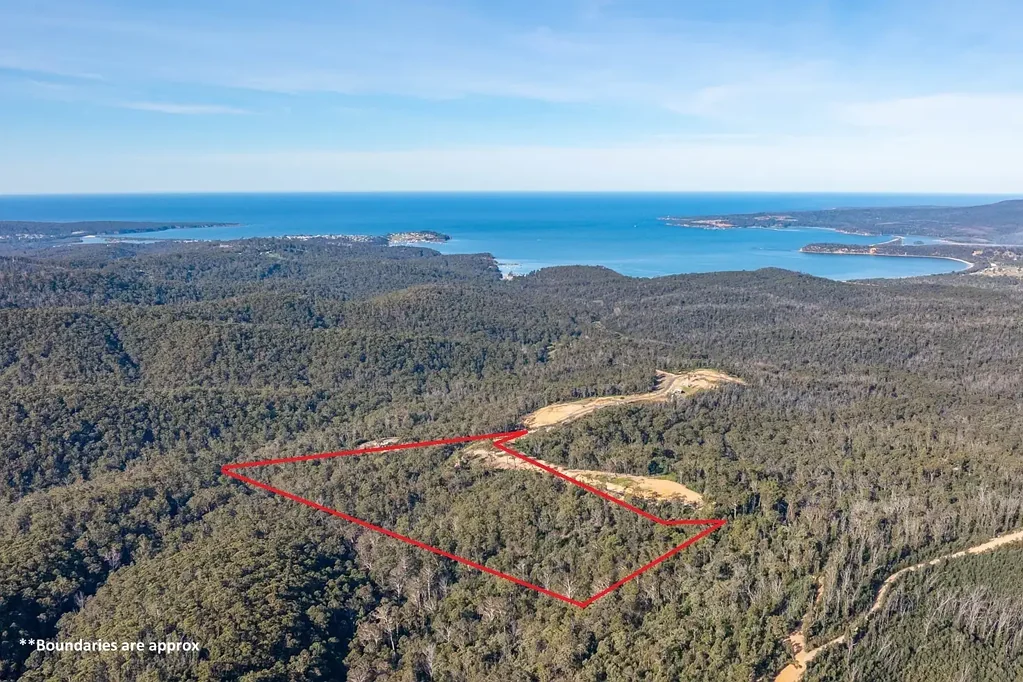 156 Silver Top Crescent, NULLICA Via, Eden, NSW 2551