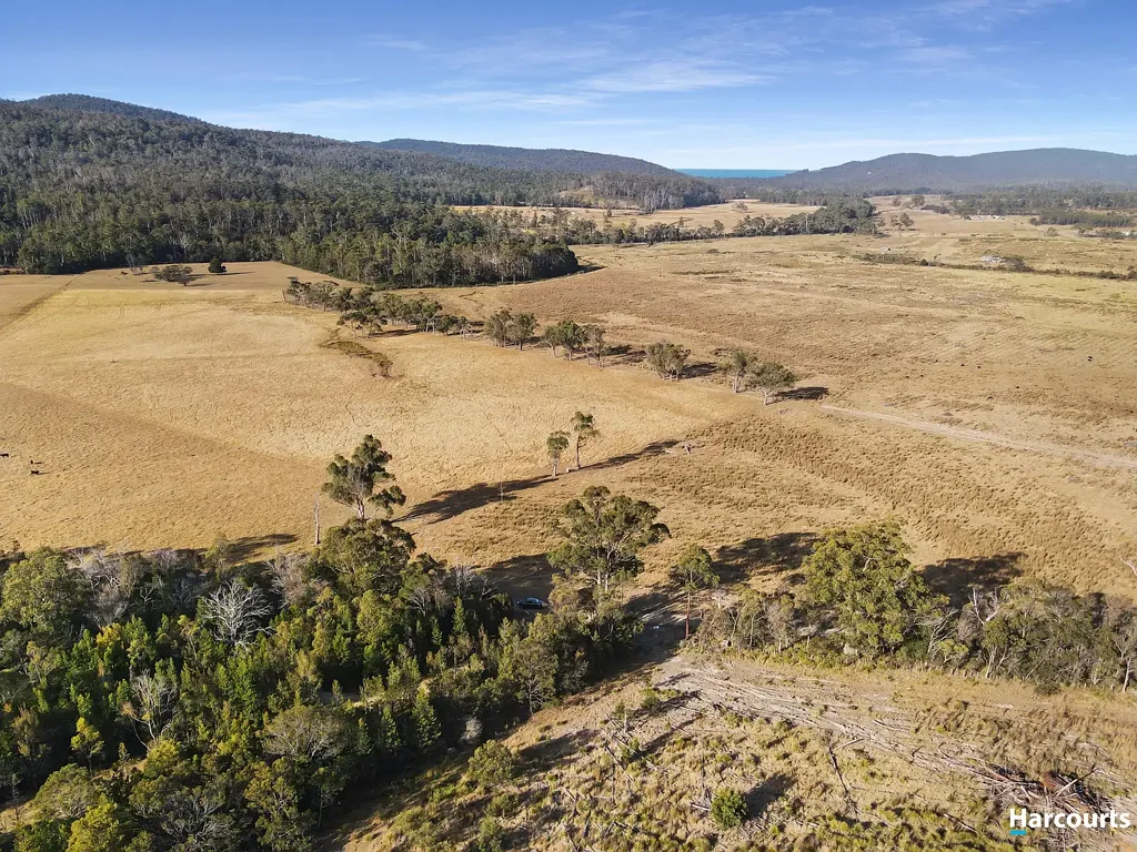 Bicheno Excellent Opportunity
