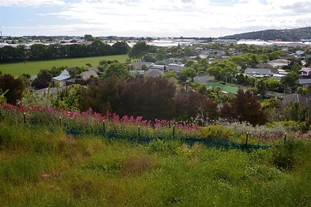 Residential Hills