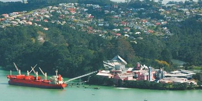 地产报告：奥克兰北岸Birkenhead区市场行情