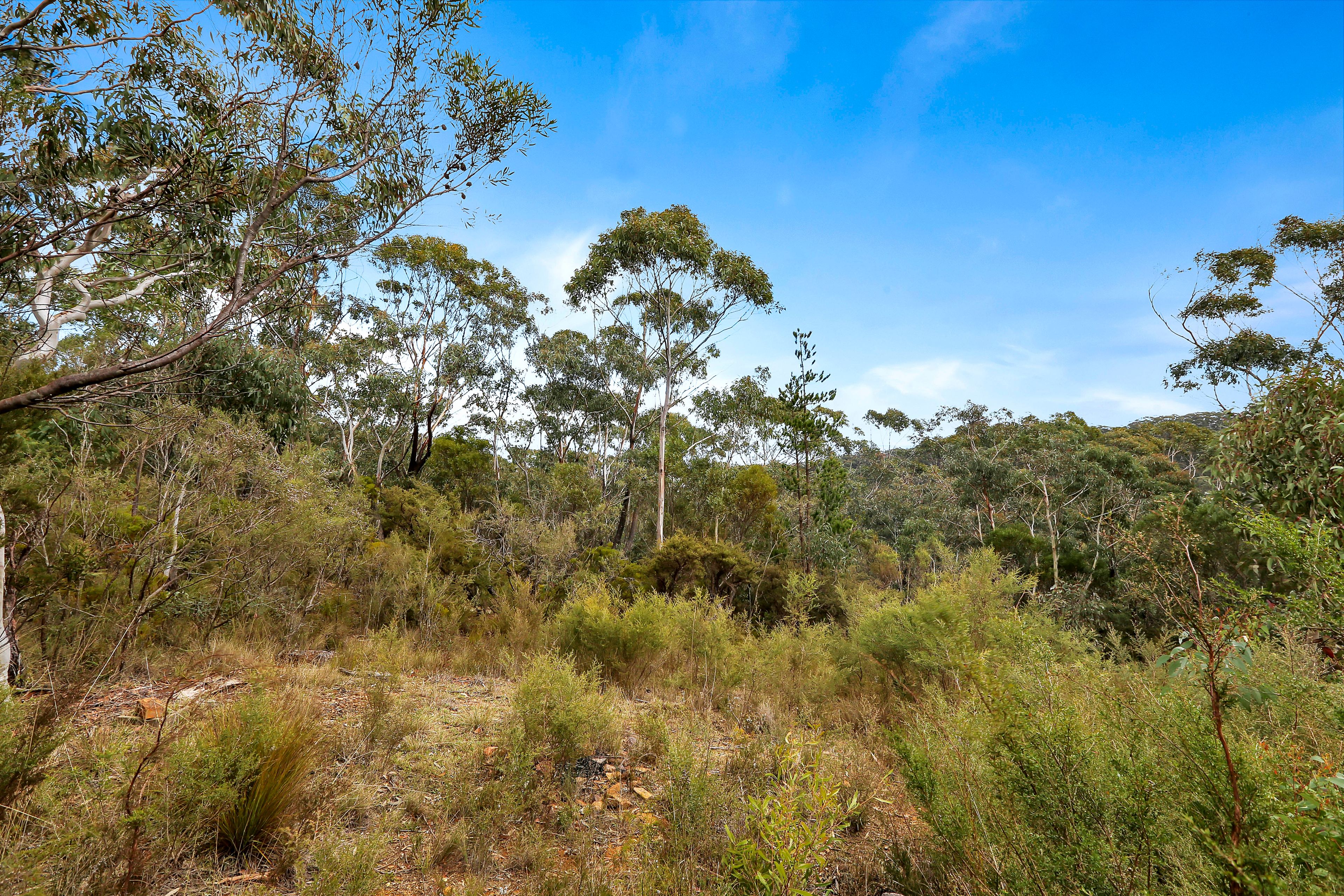 35 FOY AV, MEDLOW BATH NSW 2780, 0 રૂમ, 0 બાથરૂમ, Section