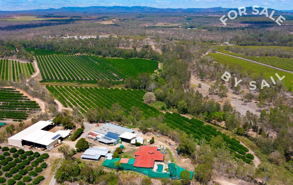 Mareeba  Caamano Farms, Lime & Pomelo Agribusiness
