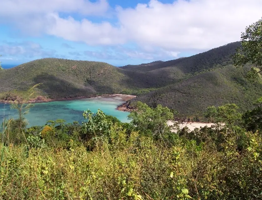 Lot HJA Azure Bay, Keswick Island, Mackay, Mackay, 0 ਕਮਰੇ, 0 ਬਾਥਰੂਮ, Section
