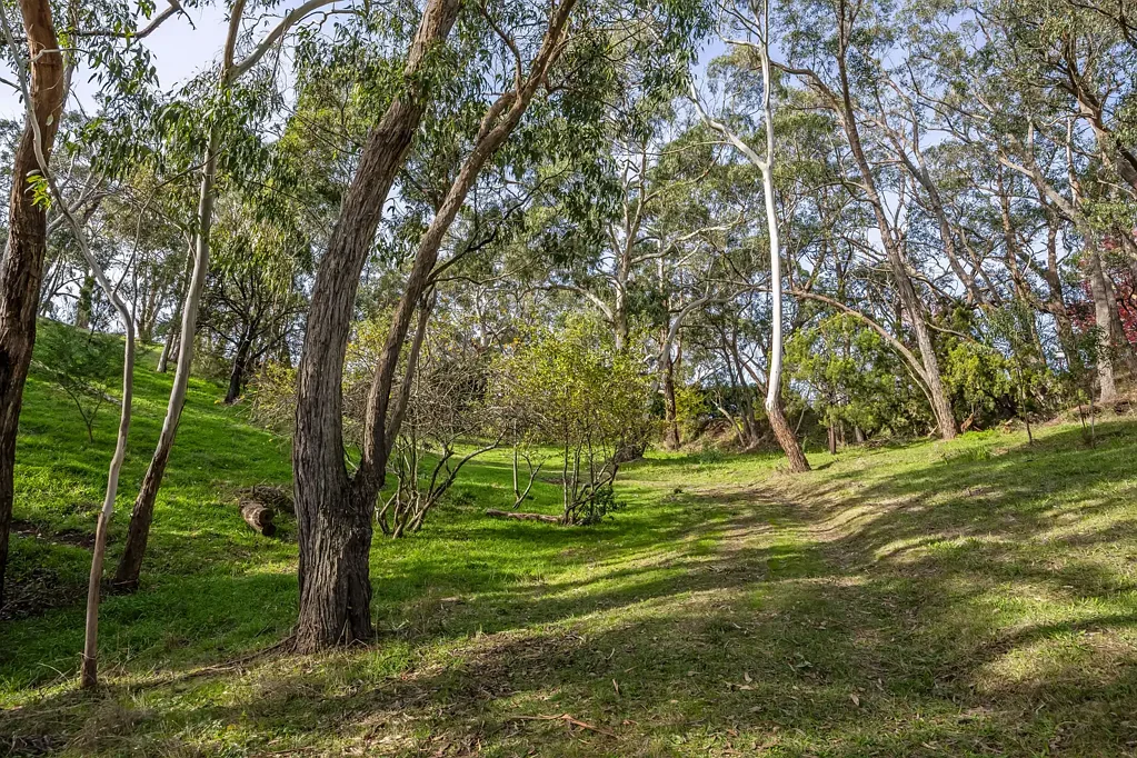 Montacute Where wild beauty meets build-ready possibility on some 10 acres.