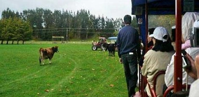 在农场价格大幅下降影响下 新西兰国家电网运营商Transpower公司大量农场低价出售 ...  ...