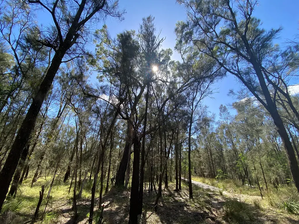 Weranga 34.22 Acre Block with Seasonal Creek