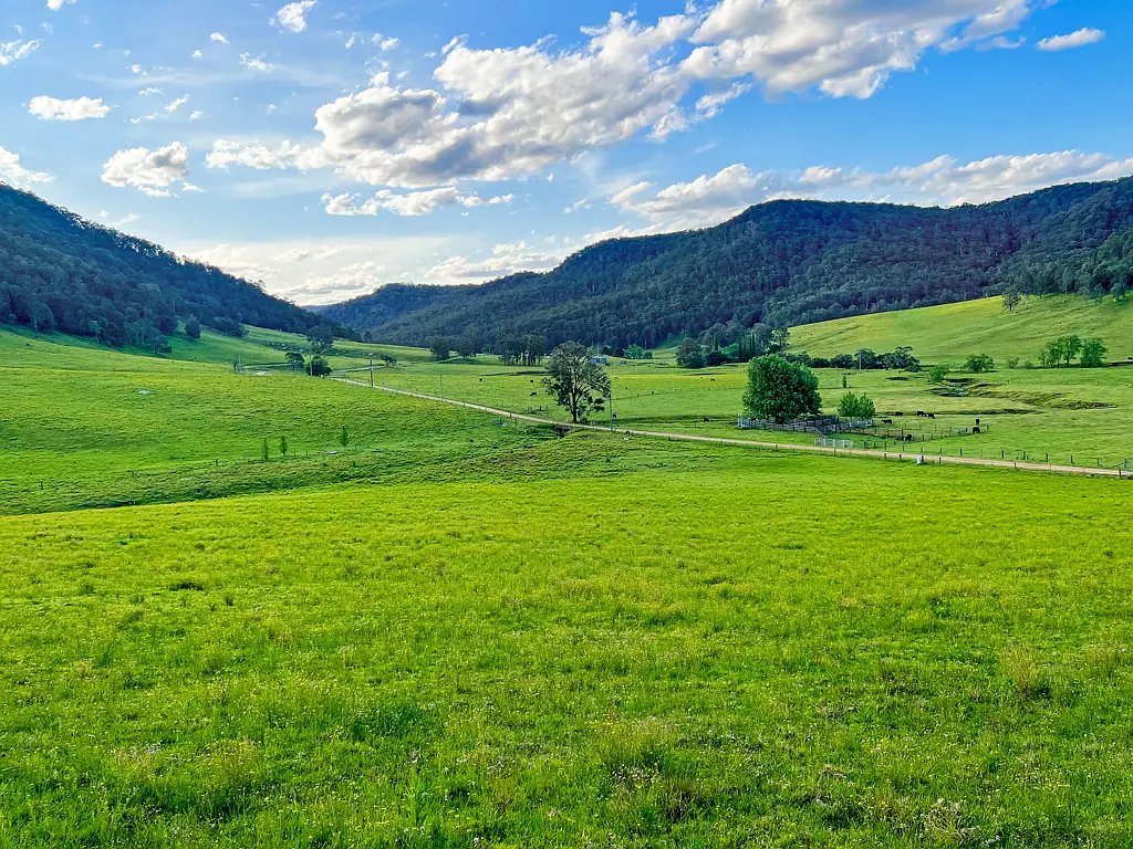 Laguna Rare Pastured Small-Acreage in Pristine Watagan Valley