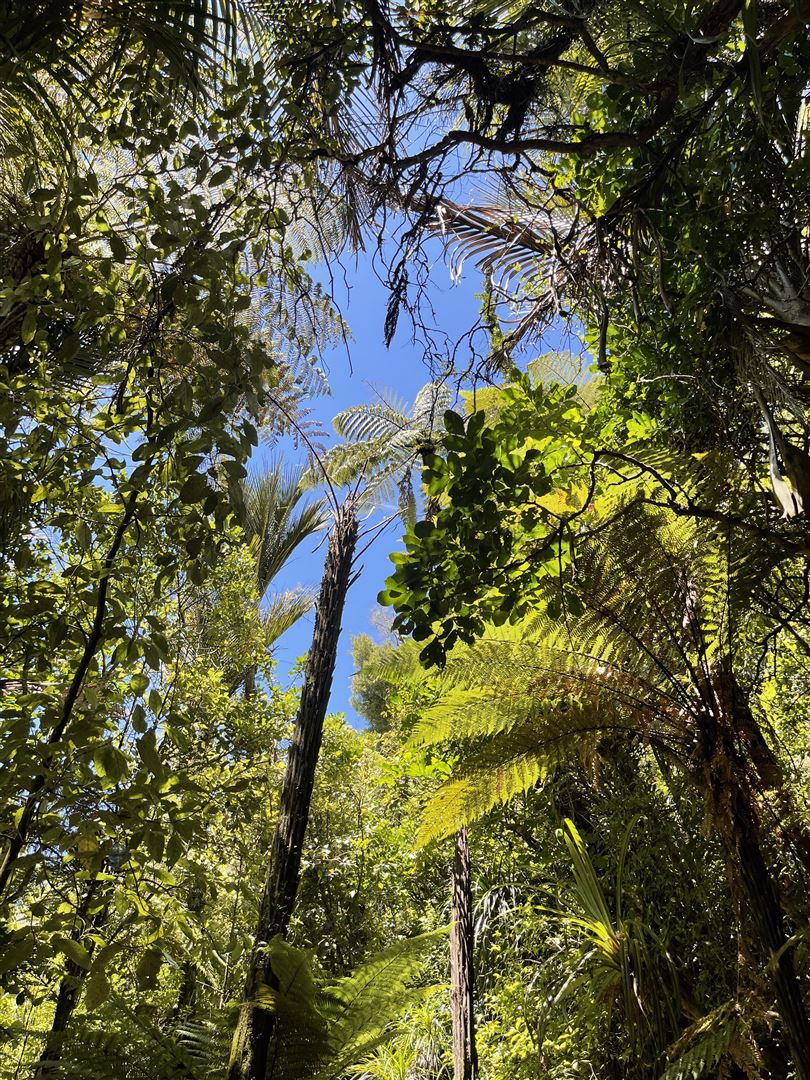 Rural  Waitakere Ranges Zone