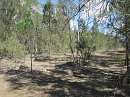 91 Timothy Road, Tara