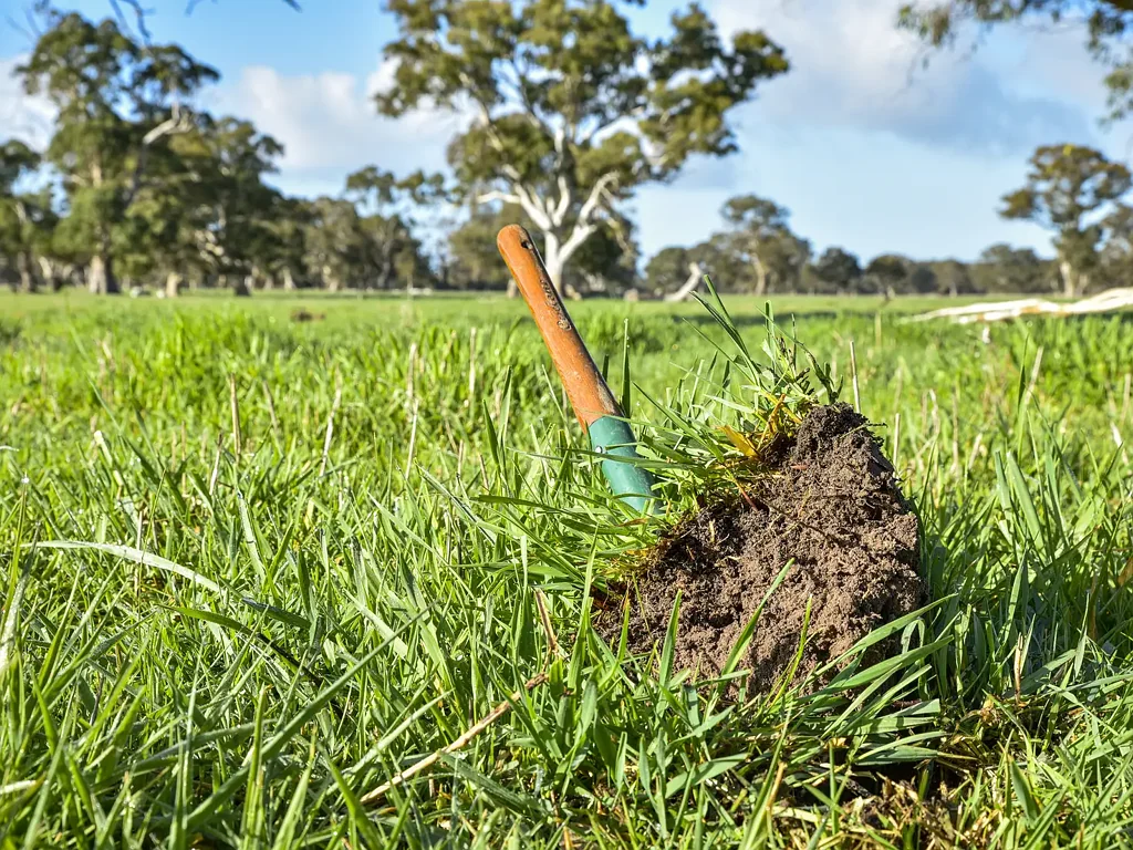 Penola  Premier Blue-Ribbon Grazing With High Quality Underground Water
