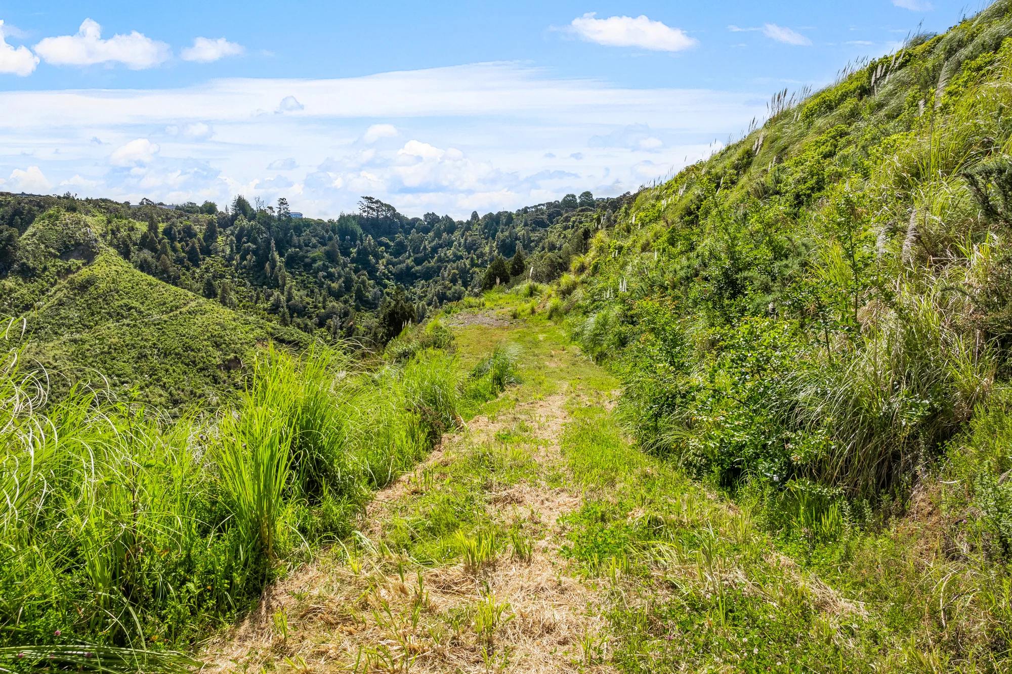 Puhoi Build your dream here!