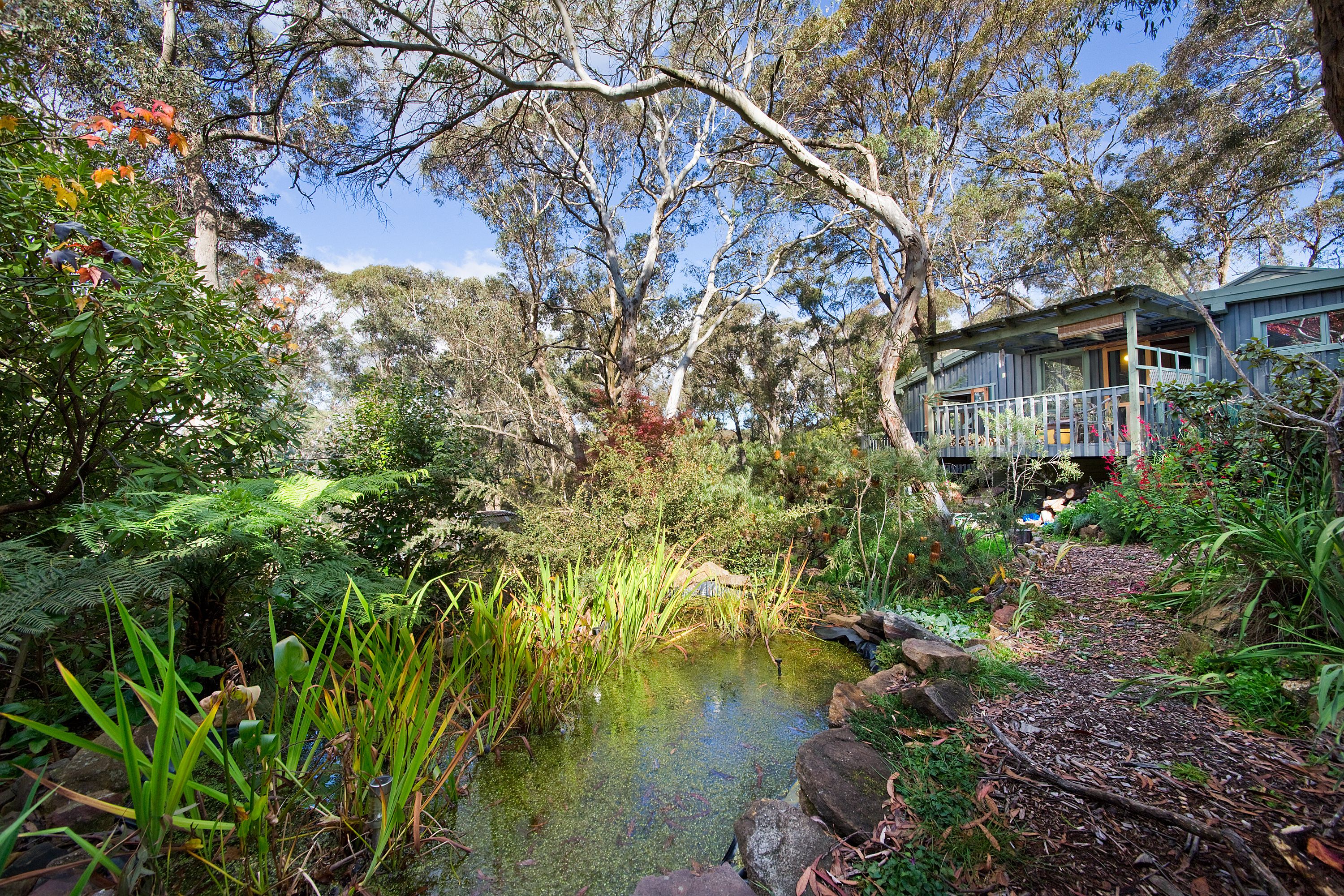 8-10 DELL ST, BLACKHEATH NSW 2785, 0房, 0浴, House