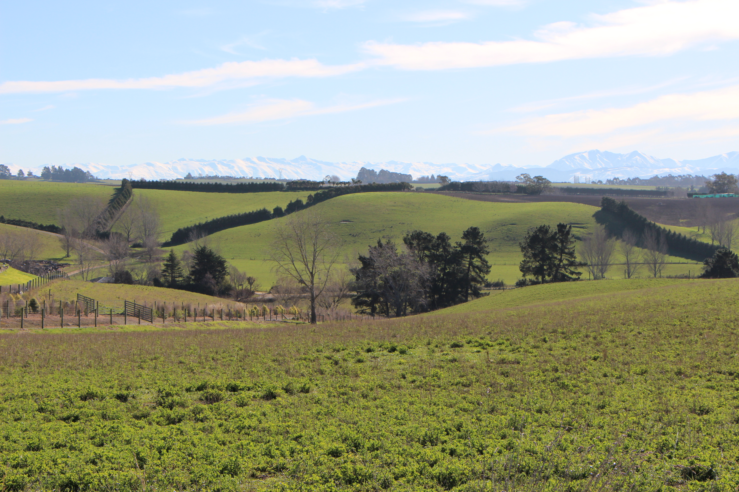 King Road, Rosewill, Timaru, 0 Bedrooms, 1 Bathrooms, Bare Land