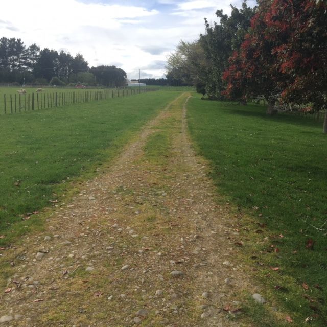 1874 Cheltenham Hunterville Road, Waituna West, Manawatu, 4 chambres, 0 salles de bain