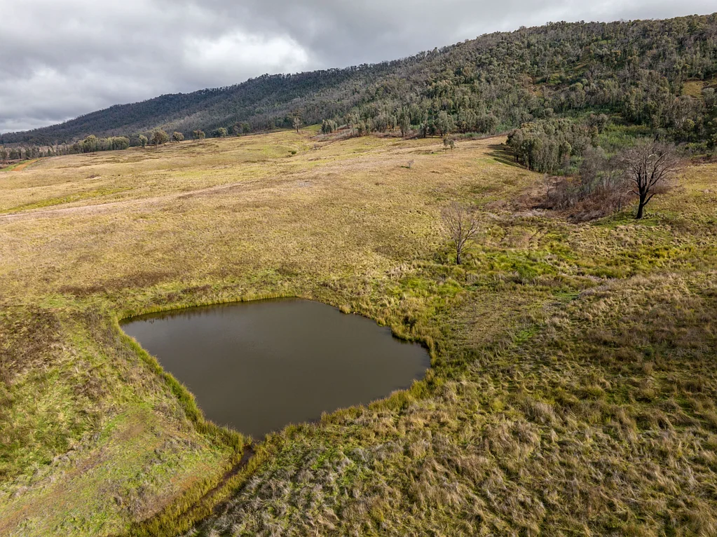 Tumbarumba Agri, Forestry & Recreation at Bellevue