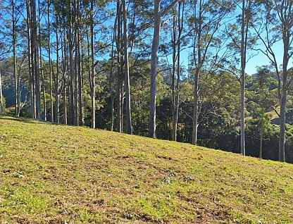 2591 Eastern Dorrigo Way Brooklana, Coffs Harbour, North Coast, 0 Bedrooms, 0 Bathrooms, Lifestyle Property