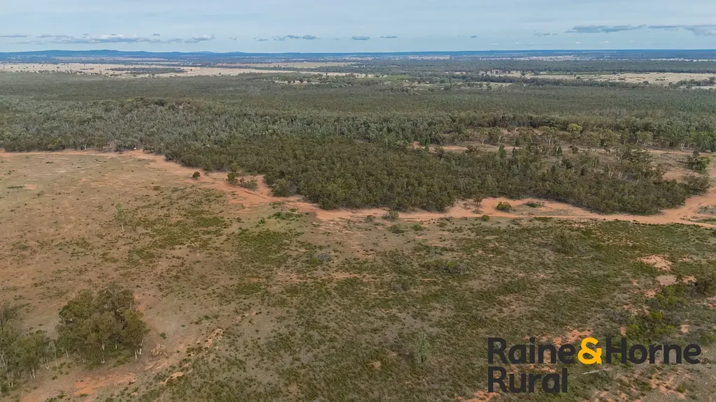 20 Sarsfield Road, Tullamore, NSW 2874