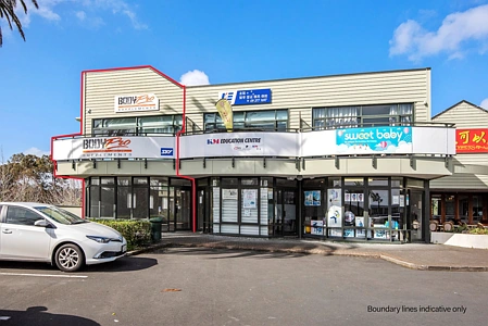 Business  Light Industry Zone