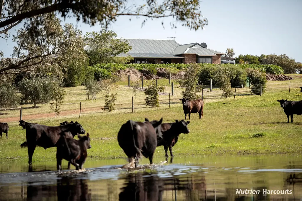 Monjingup Esperance's finest lifestyle property!