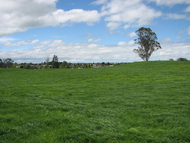 58 Scott Road, Putaruru, South Waikato, 4 rūma, 0 rūma horoi