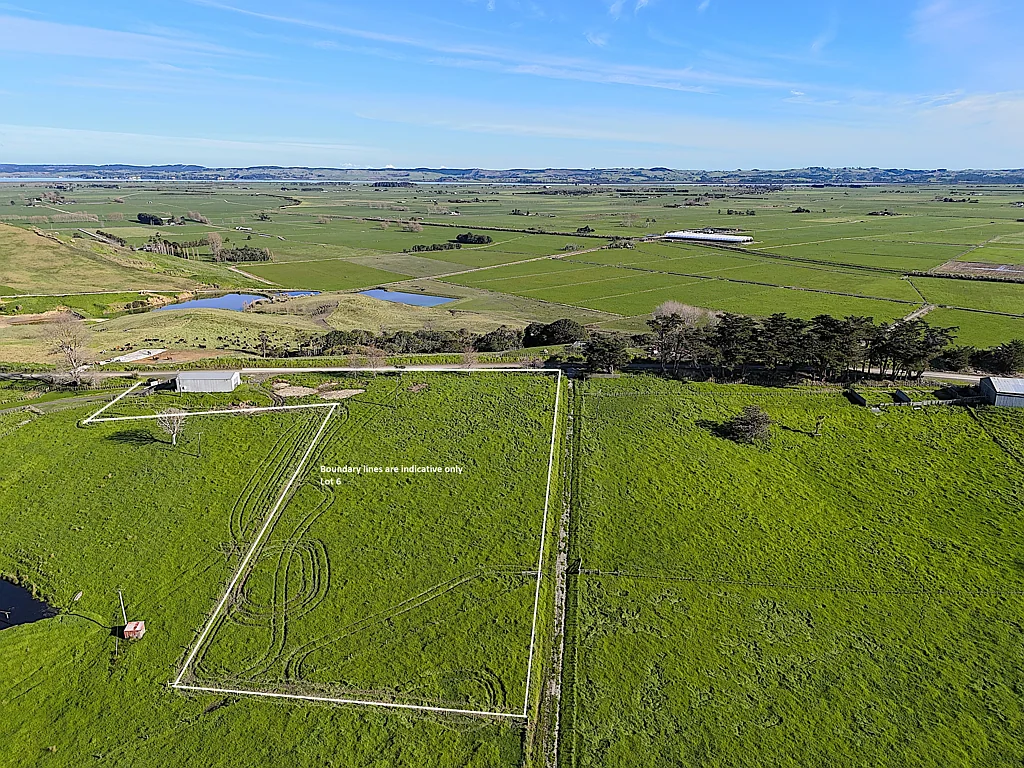 Ruawai Rural Gem with Shed and Scenic Views