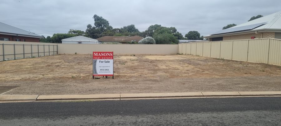 3 NILFRED CT, MURRAY BRIDGE SA 5253, 0房, 0浴, Section